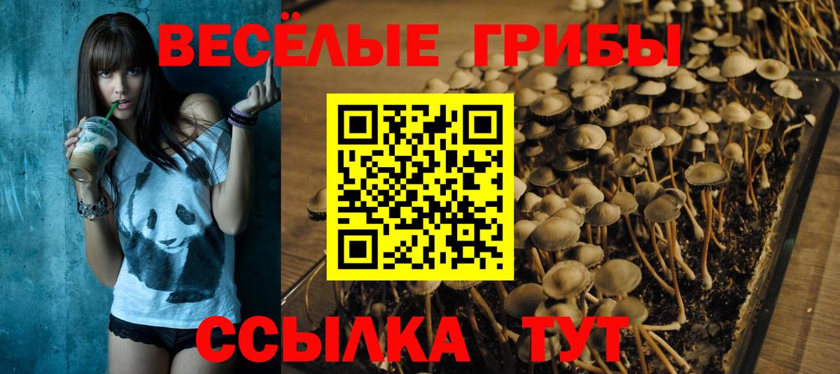 Галлюциногенные грибы ЛСД Тара