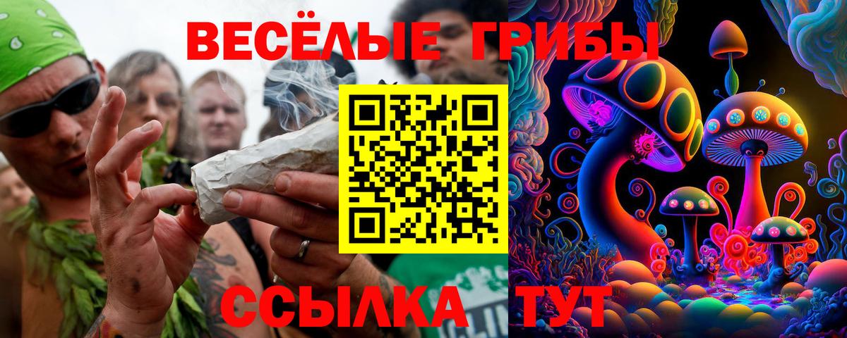 Тара  Псилоцибиновые грибы Cubensis  Псилоцибиновые грибы мухоморы  Вход с VPN 