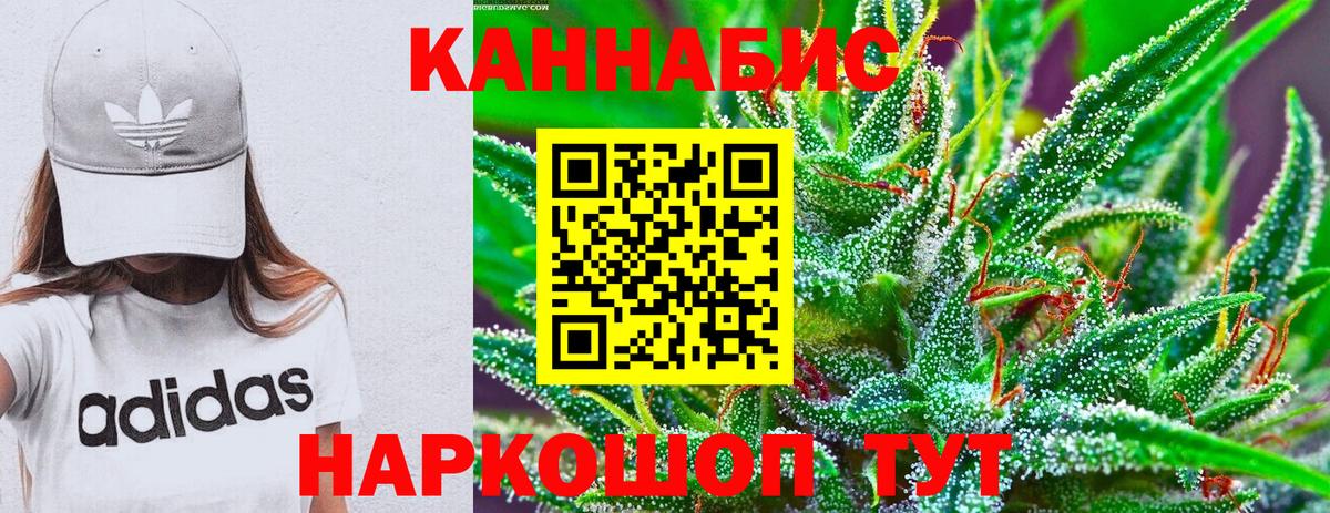 Бошки Шишки план  Конопля OG Kush  Тара  Вход с VPN 